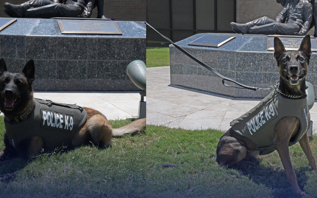 Realizan donación de chalecos anti balas a oficiales caninos de Odessa