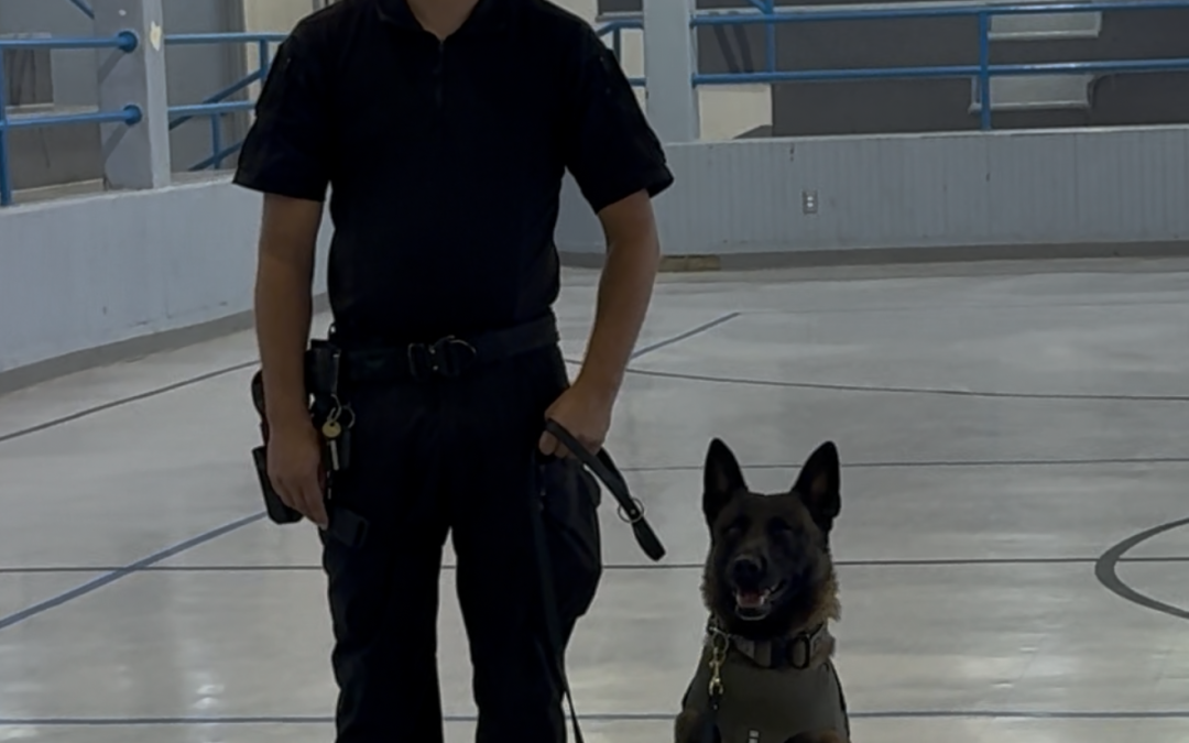 La Unidad Canina de la Policía de Odessa: entrenados, equipados y listos para proteger
