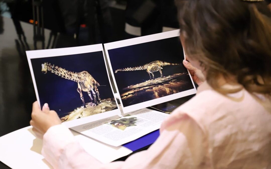 El Fósil ‘Einstein’ Fue Prestado al Municipio de San Pedro Garza García, No Donado