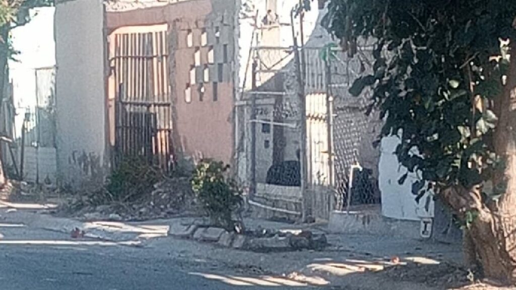 Perros Agresivos y Abandono de Espacios Públicos: Alarmante Situación en Quintas los Nogales de Torreón
