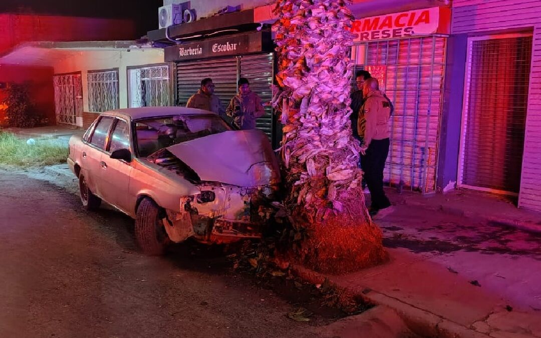 Accidente Automovilístico: Menores de Edad Estrellan Auto Contra Palma en Torreón