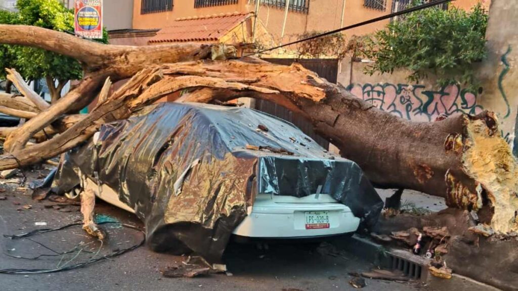 Sismo en Guerrero: Más de 30 Inmuebles Afectados y Dos en Riesgo de Colapso en CdMx