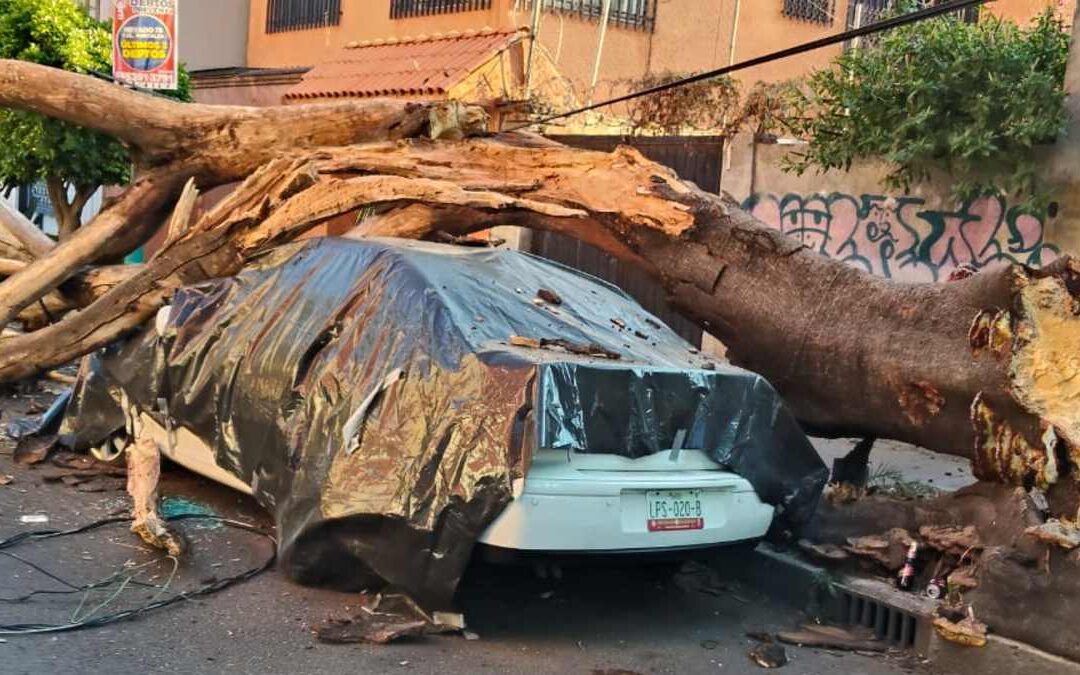 Sismo en Guerrero: Más de 30 Inmuebles Afectados y Dos en Riesgo de Colapso en CdMx