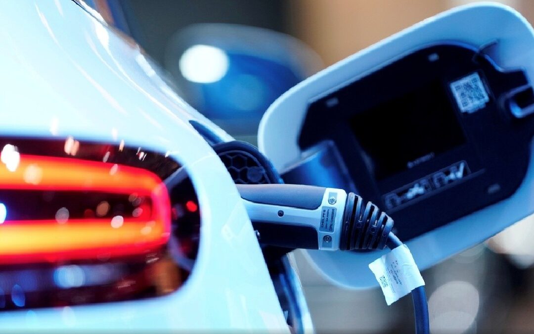 Trágico Accidente: Niño de 5 Años Muere al Ser Arroyo por Automóvil Eléctrico en Midland