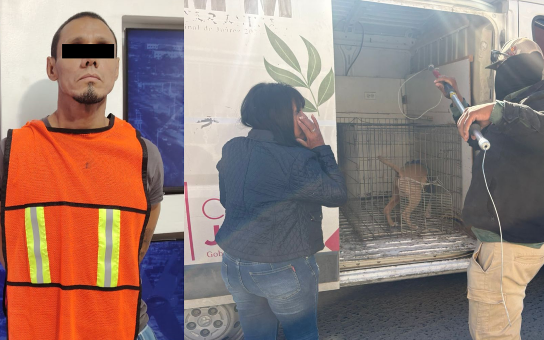 Detenido por Maltrato Animal: Rescatan a Perro Agredido en Ciudad Juárez