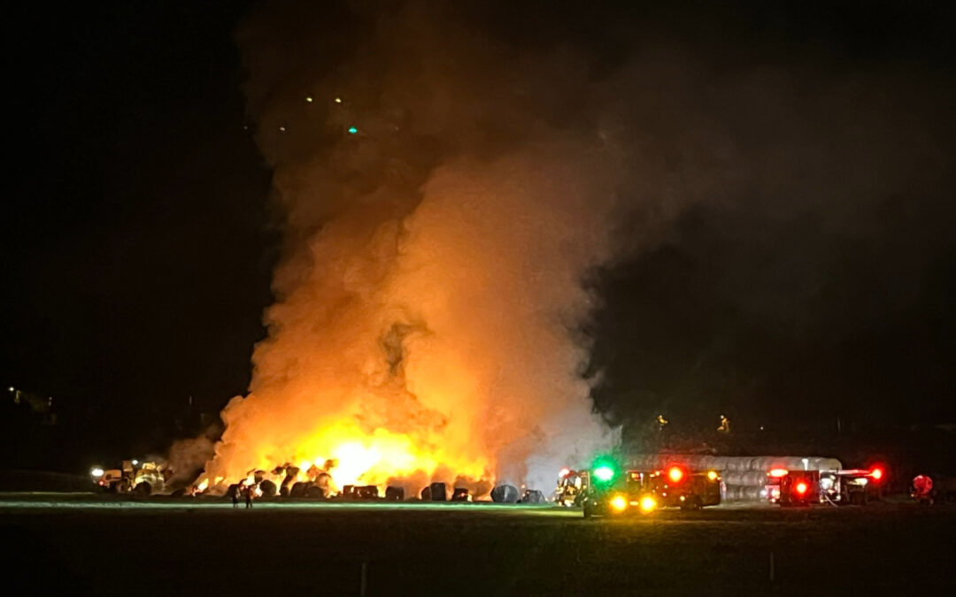 Incendio en San Diego: Bomberos luchan contra el fuego que consume pacas de heno cerca del Safari Park