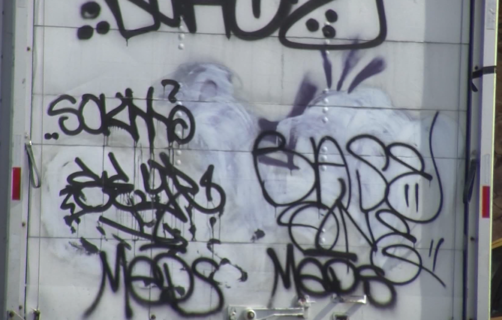 Vandalismo en Reno: Oleada de Ataques Destruye Parques Públicos