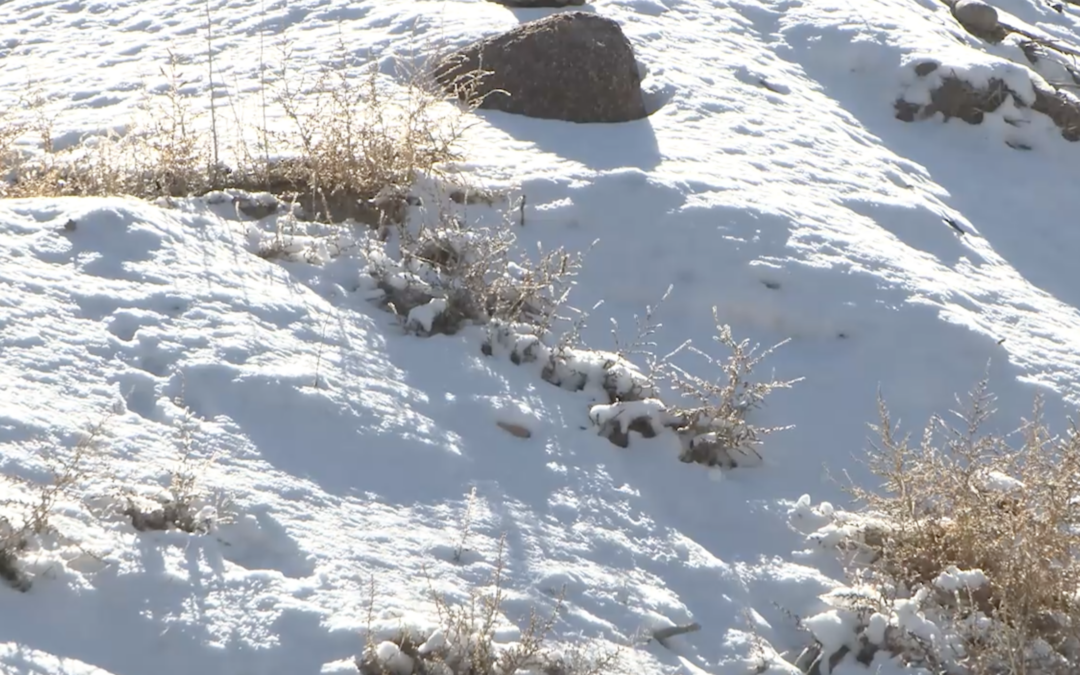 Tormenta Invernal en Albuquerque: 32 Accidentes Viales y Lesiones Confirmadas