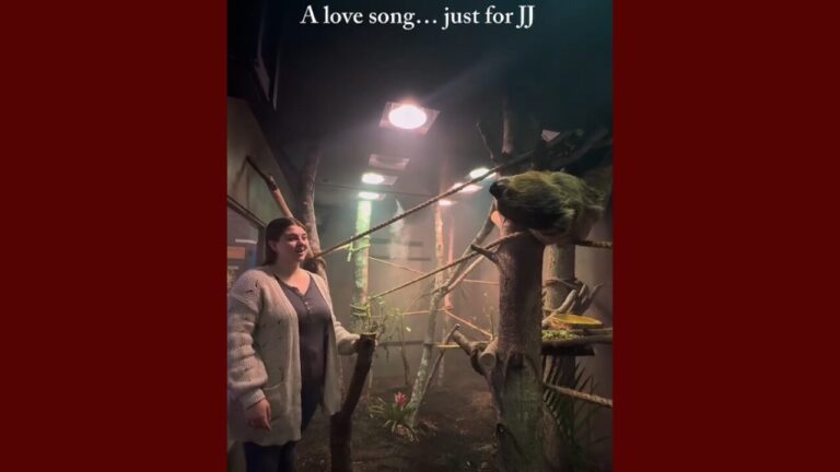 Museo Infantil de Durham presenta nueva actividad musical con experiencia educativa y animal