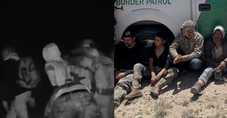 Arrestan a 7 migrantes irregulares en un terreno privado en el condado de Terrel